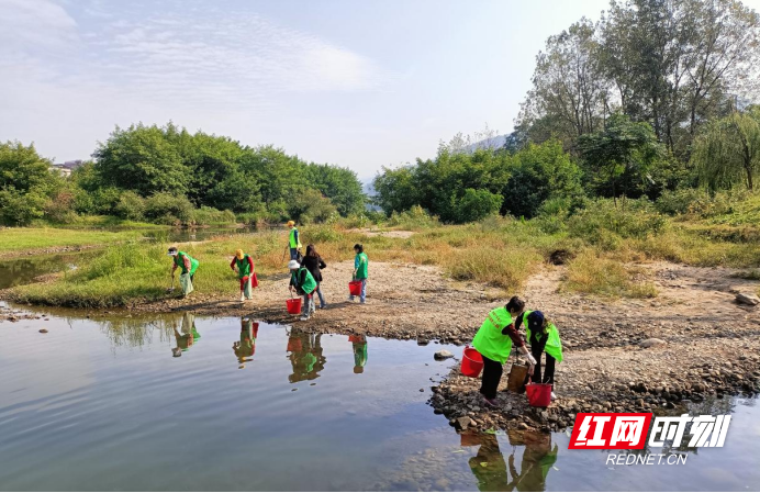 1728965227835.jpg 1728965227835.jpg