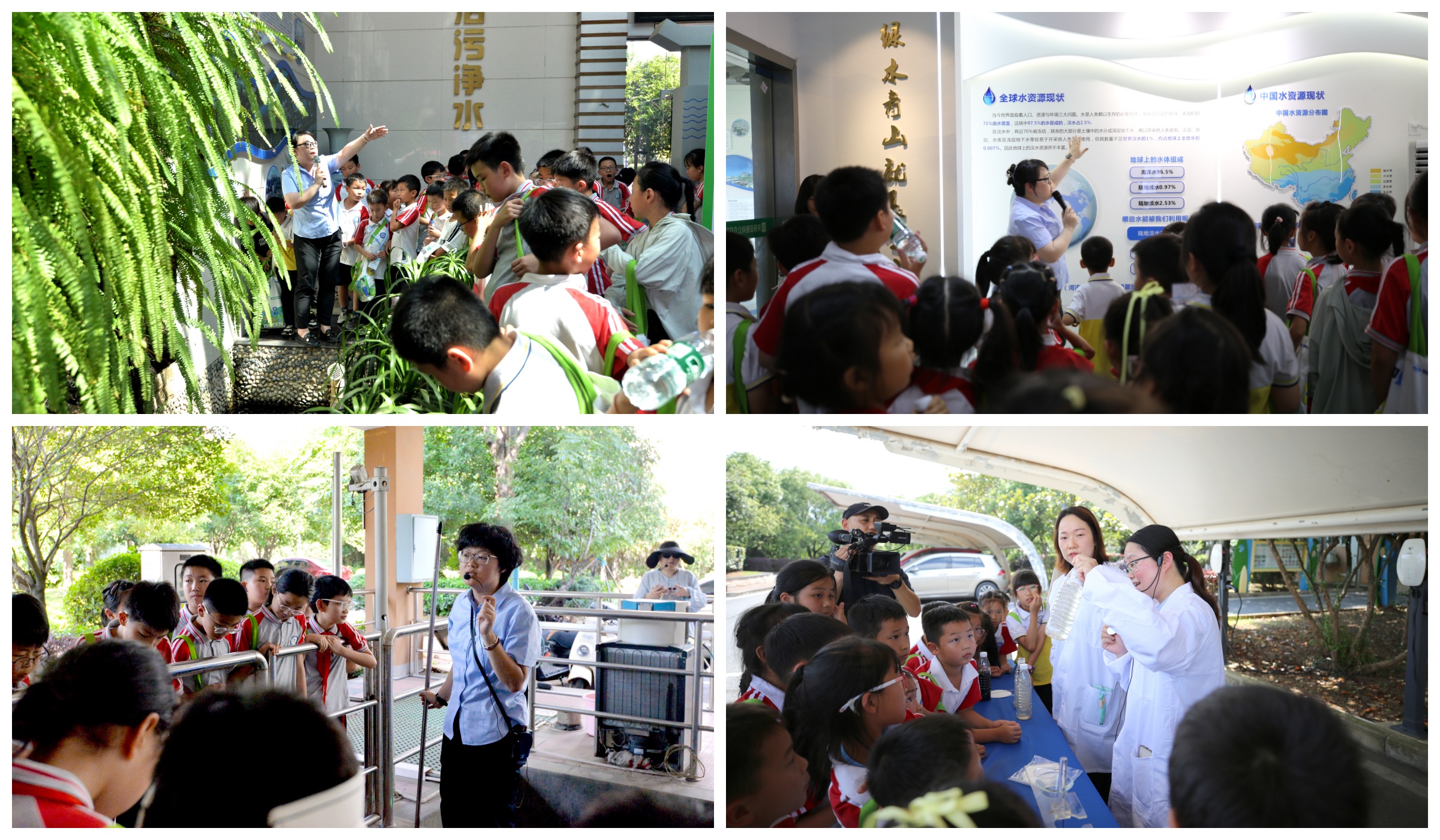 1749202888843063022.jpg 1749202888843063022.jpg