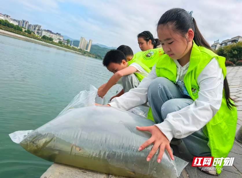 图片6.jpg 图片6.jpg