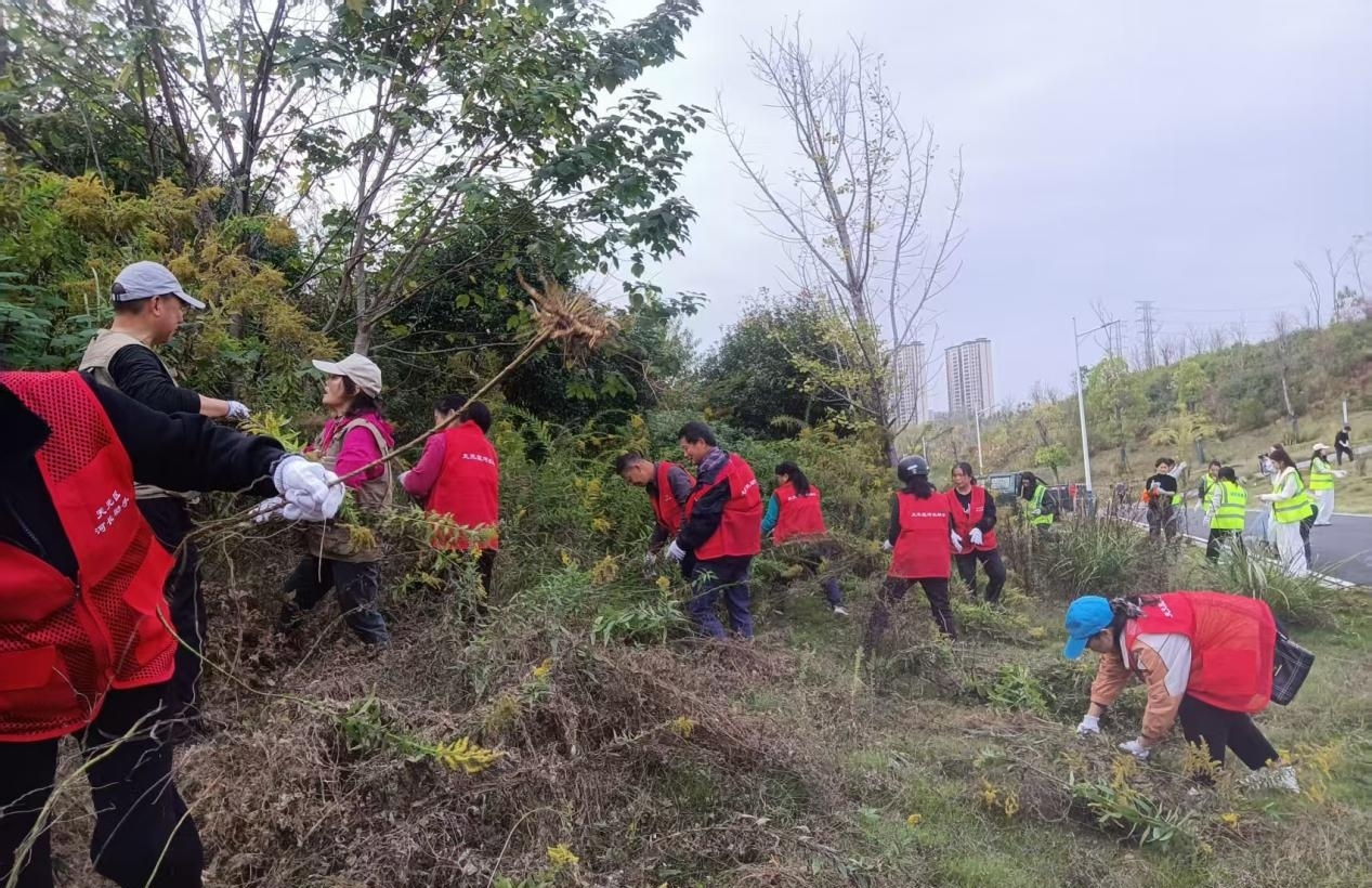 1762933303495036003.jpg 1762933303495036003.jpg