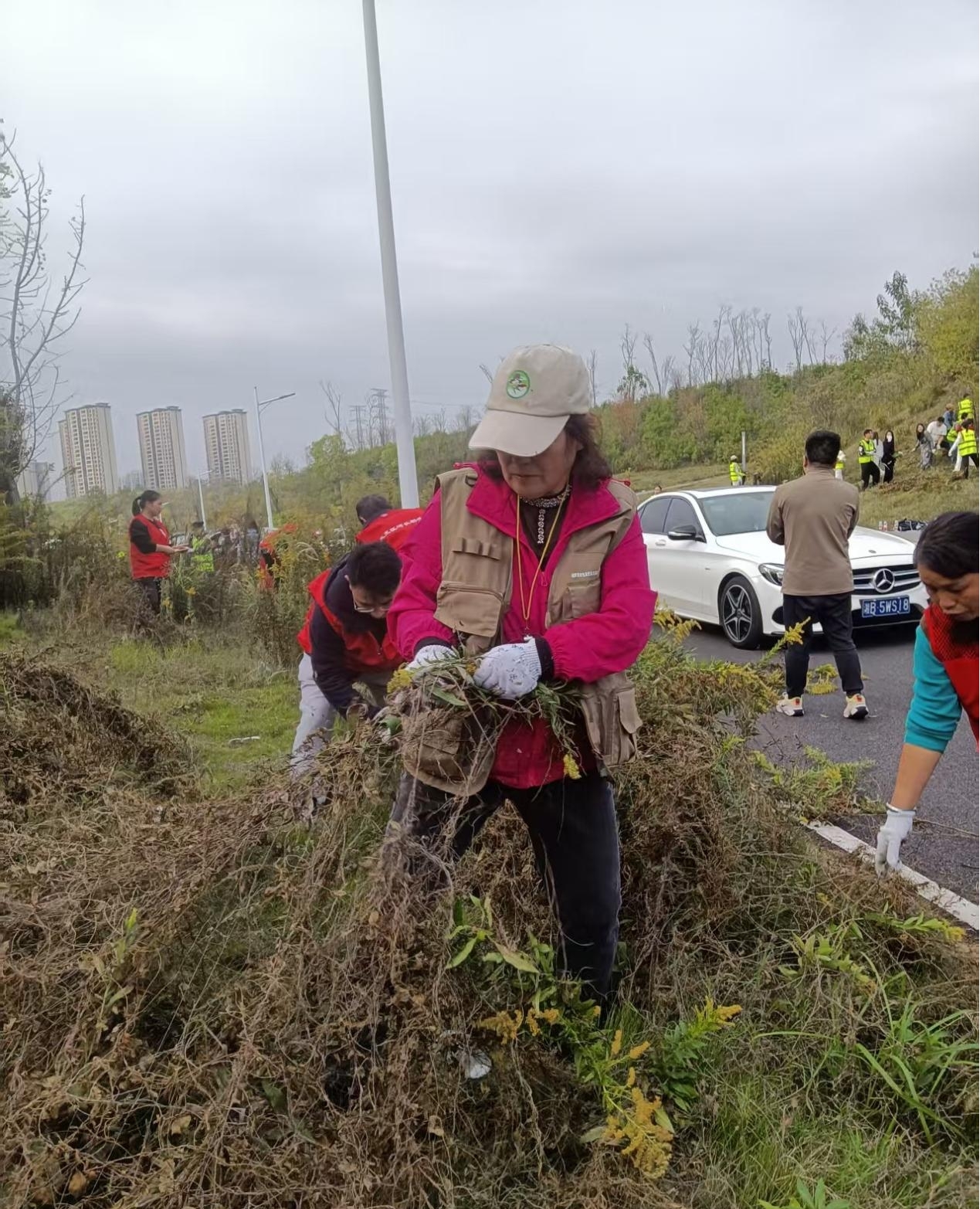 1762933329621024432.jpg 1762933329621024432.jpg