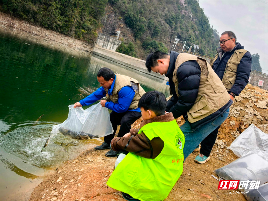 图片2.jpg 图片2.jpg