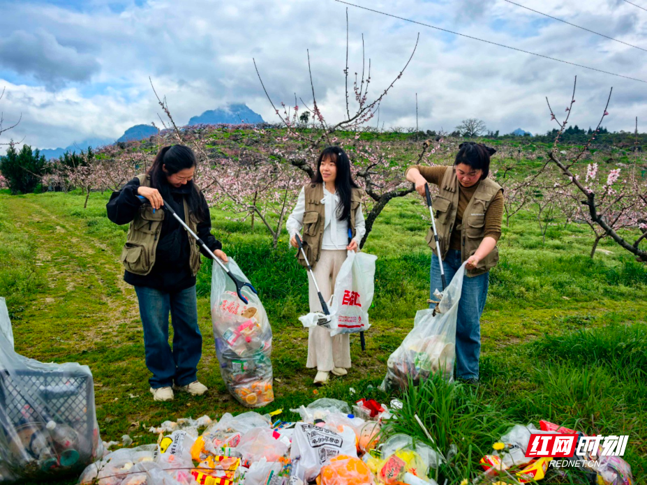 图片4.jpg 图片4.jpg